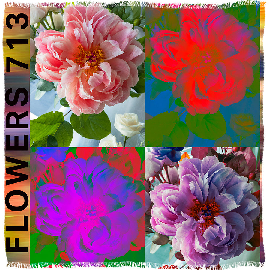 Flowers 713