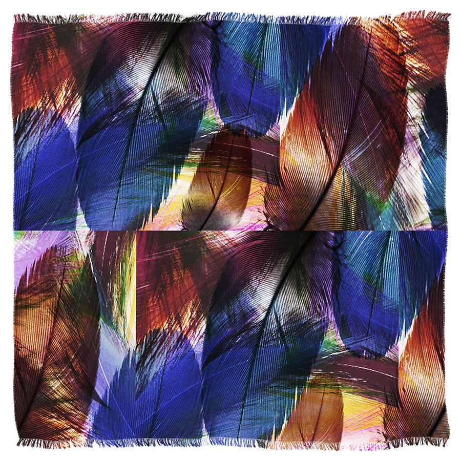 Folon's Feather