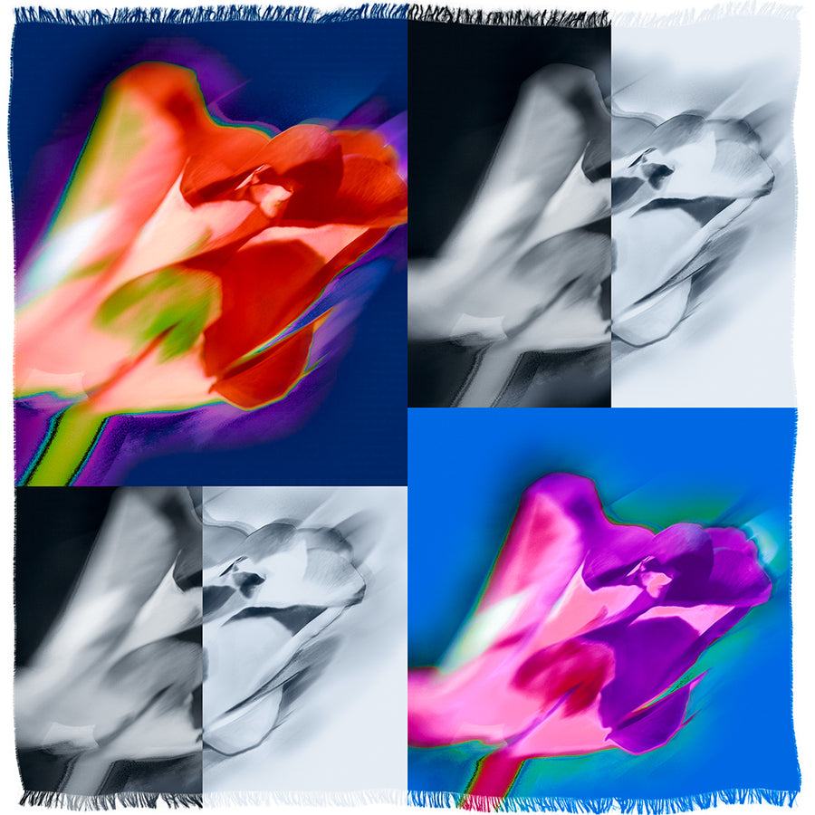 Kiss From A Rose